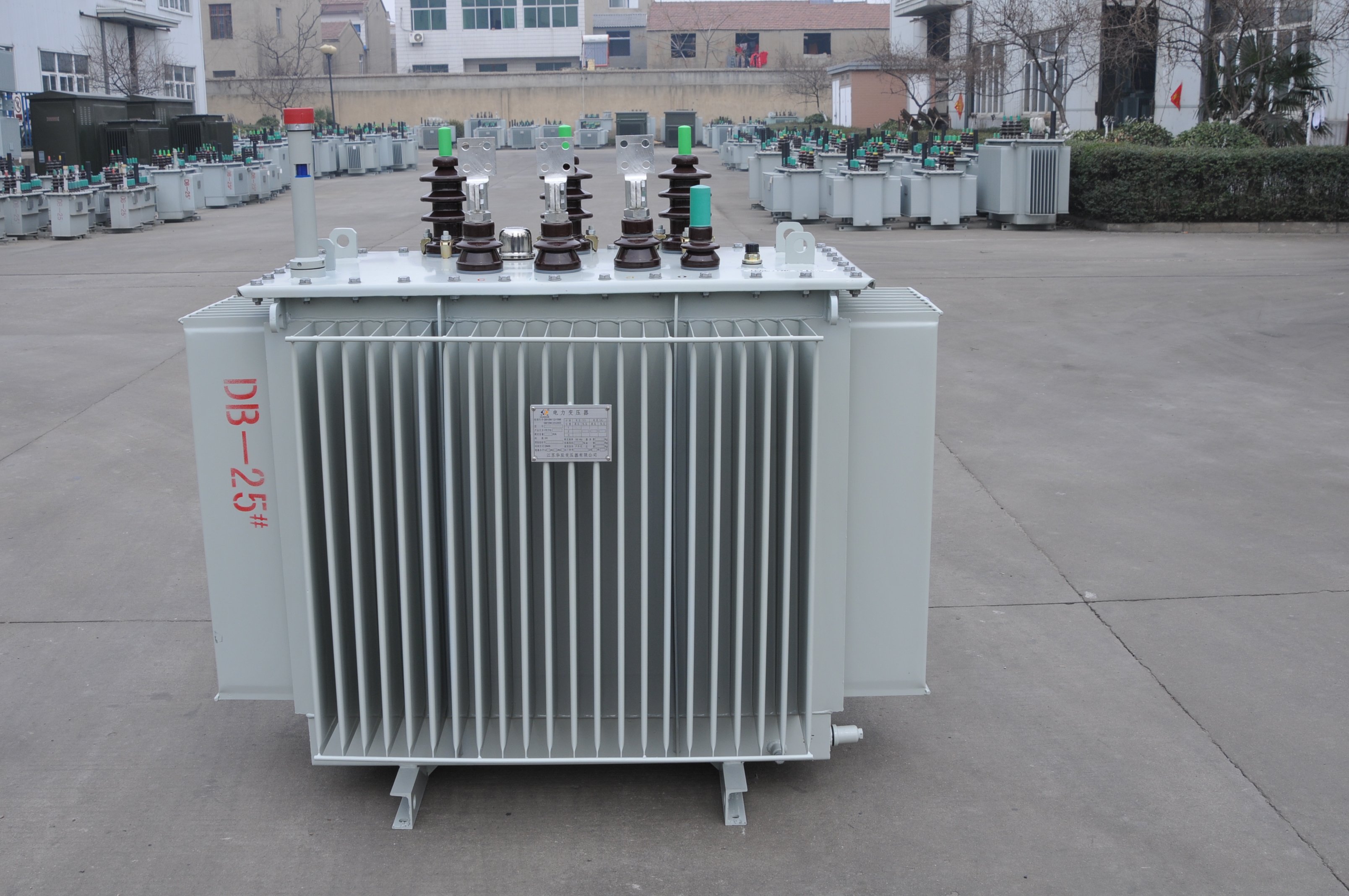 11kv Load Capacity Steel Oil Immersed Distribution Transformer